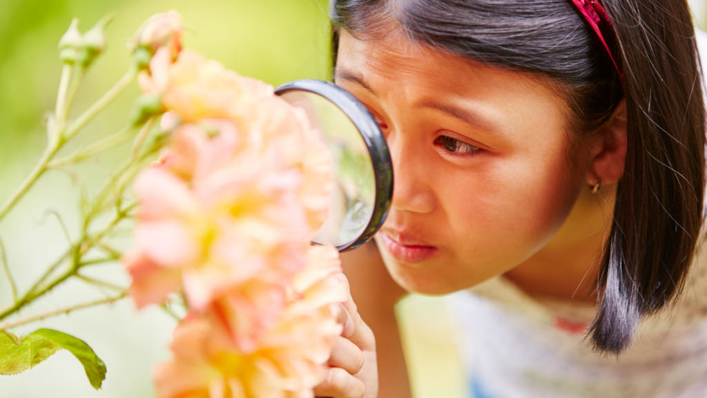 Beginner's Mind: Seeing the Moment with Fresh Eyes