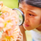 Beginner's Mind: Seeing the Moment with Fresh Eyes