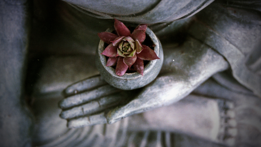 Guided Meditations