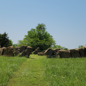 Rising Ranch