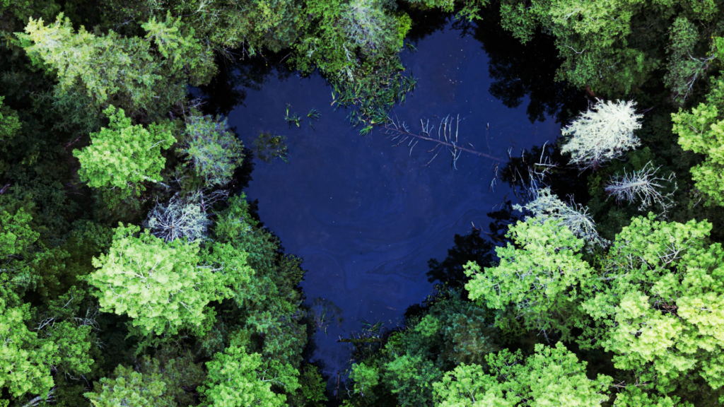 The Healing Waters of Loving-Kindness